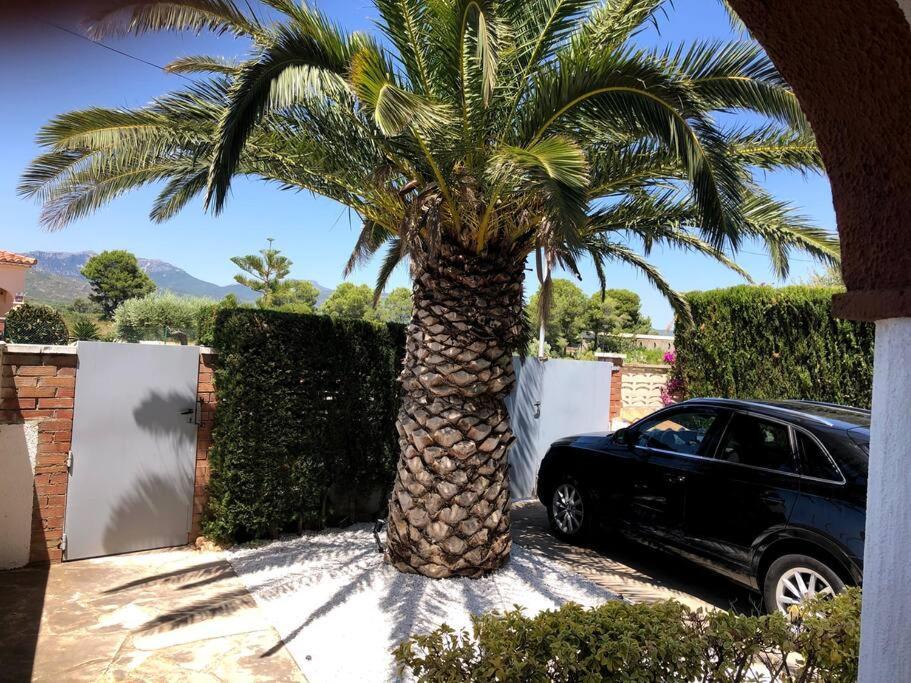 Villa Climatisee Bord De Mer Avec Piscine Privee Miami Playa Exterior photo